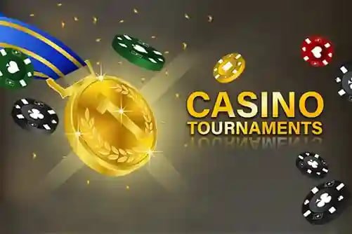 tg6 bet