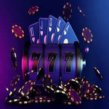 tg6 bet